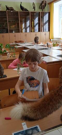 IMG_20230530_081040_1.jpg