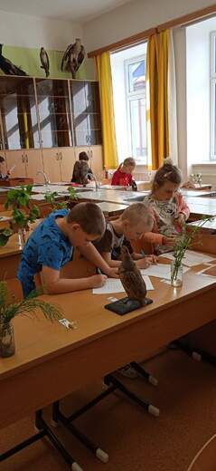 IMG_20230530_081218.jpg