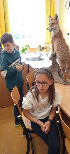 IMG_20230530_103730_1.jpg