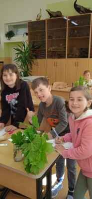 IMG_20240513_090351_1.jpg