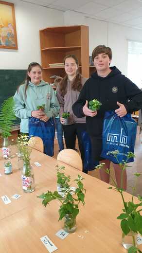 IMG-20240517-WA0014.jpg