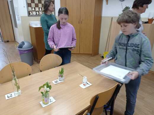 IMG-20250519-WA0017.jpg