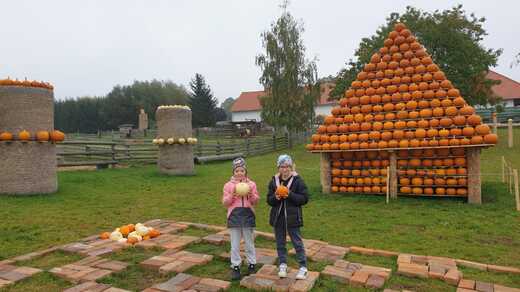 IMG-20251008-WA0162.jpg