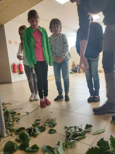 IMG20231009120359.jpg