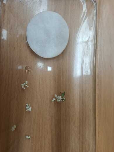 WhatsApp Image 2026-03-04 at 21.03.17.jpeg